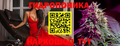 a pvp Братск