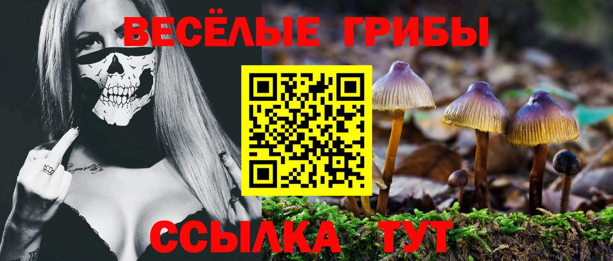 Псилоцибиновые грибы прущие грибы  Вход с VPN  где купить наркоту  Беслан  Псилоцибиновые грибы GOLDEN TEACHER 